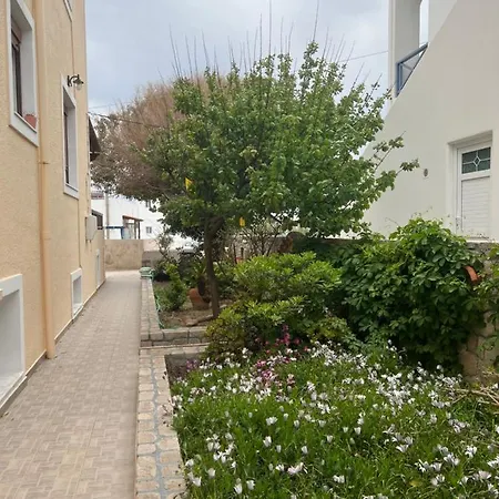 Asterias * Adamantas (Milos)