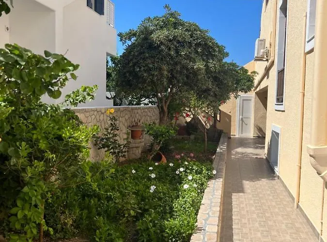 Asterias * Adamantas