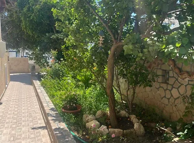 Asterias Lejlighed *